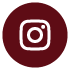 Social Media Icon